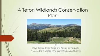 Plan  By  Lloyd Dorsey, Bruce Hayse and Peggie dePasquale  Presented to the Teton WPLI Committee