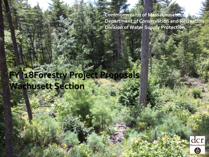 fy 18forestry project proposals wachusett section