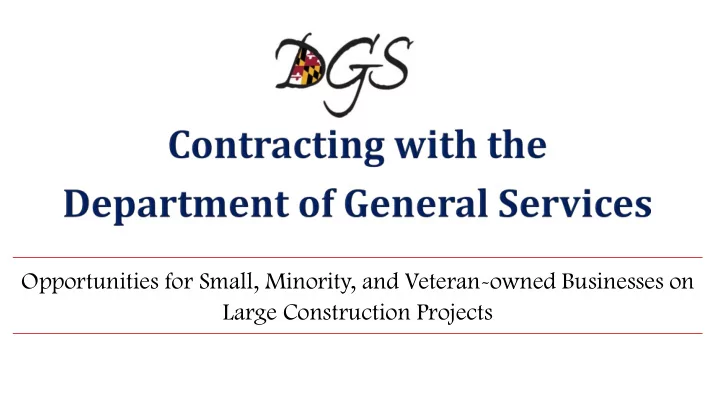 opportunities for small minority and veteran owned