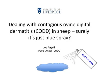 dermatitis (CODD) in sheep  surely  its just blue spray?  Joe Angell  @Joe_Angell_CODD