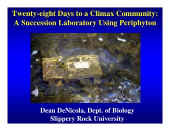 Twenty-eight Days to a Climax Community:  A Succession Laboratory Using Periphyton  Dean DeNicola,