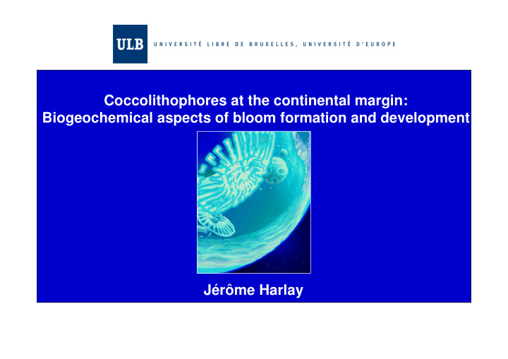 coccolithophores at the continental margin biogeochemical
