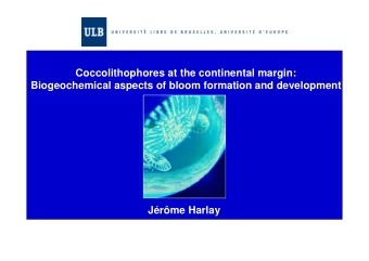 Coccolithophores at the continental margin:  Biogeochemical aspects of bloom formation and
