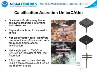 Calcification Accretion Units(CAUs)    Ocean Acidification may hinder  calcifying organisms in
