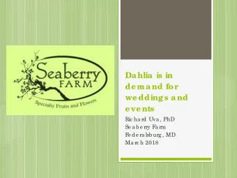 Da hlia  is in  de ma nd for  we dding s a nd  e ve nts  Ric ha rd Uva , PhD  Se a b e rry F  a rm