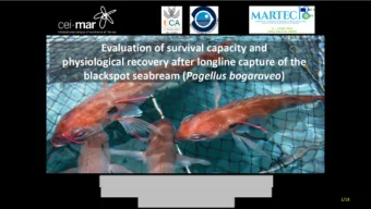 CONCLUSIONS 1.- Blackspot seabream ( Pagellus bogaraveo ) below 33 cm length,  captured in the