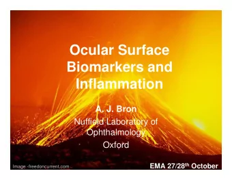 Ocular Surface  Biomarkers and  Inflammation  A. J. Bron  Nuffield Laboratory of  Ophthalmology