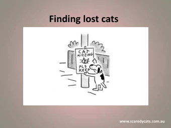 Finding lost cats www.scaredycats.com.au  A lie is like a at: You eed to stop it efore