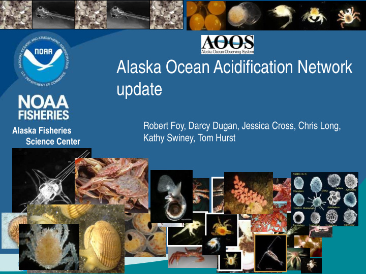 alaska ocean acidification network update