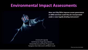Environmental Impact Assessments  How can EIAs/SEAs improve ocean governance  in ABNJ and how could