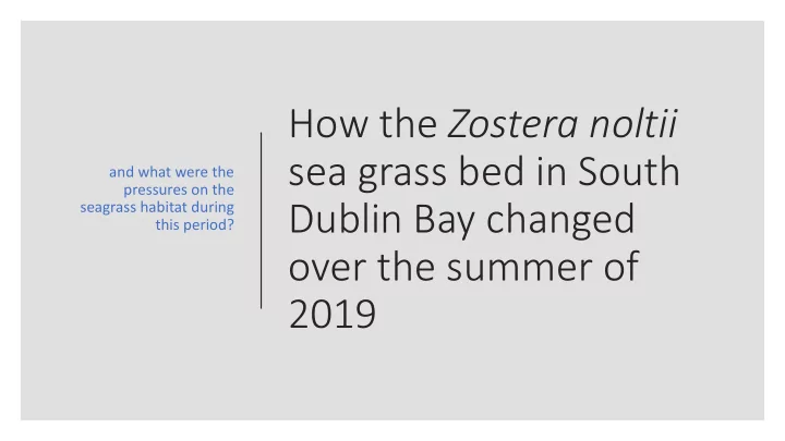 sea grass bed in south