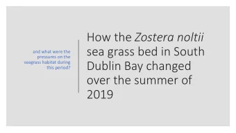 sea grass bed in South  and what were the  pressures on the  seagrass habitat during  Dublin Bay