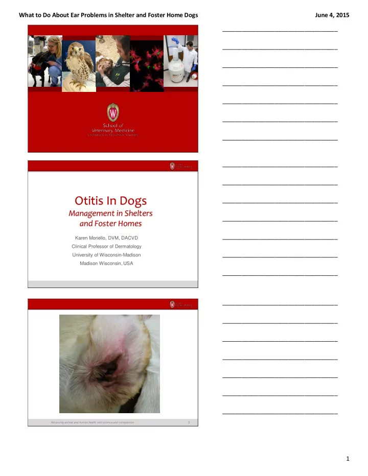 otitis in dogs