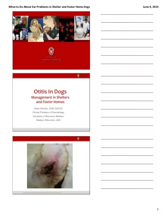 Otitis In Dogs  ___________________________________  Management in Shelters