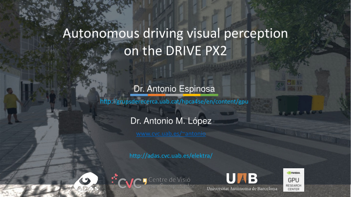 autonomous driving visual perception