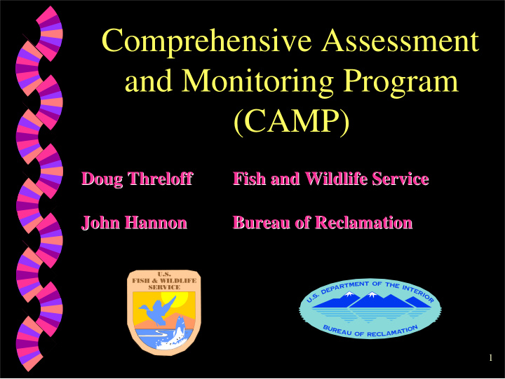 comprehensive assessment and monitoring program camp