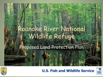 Roanoke River National  Wildlife Refuge  Proposed Land Protection Plan  Photo by Carl Galie U.S.