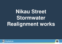 nikau street stormwater