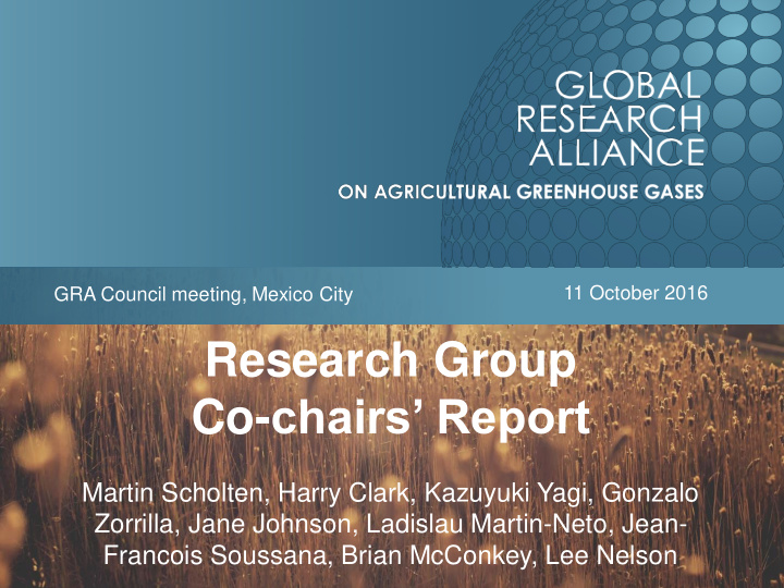 research group co chairs report