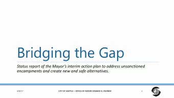 Bridging the Gap  Status report of the Mayors interim action plan to address unsanctioned