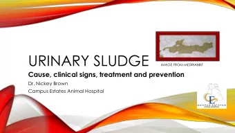 WHY IS THIS IMPORTANT TO YOU  AND YOUR RABBIT?  Urinary problems are common in our pet rabbits.