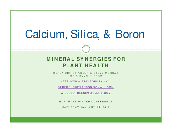 calcium silica amp boron