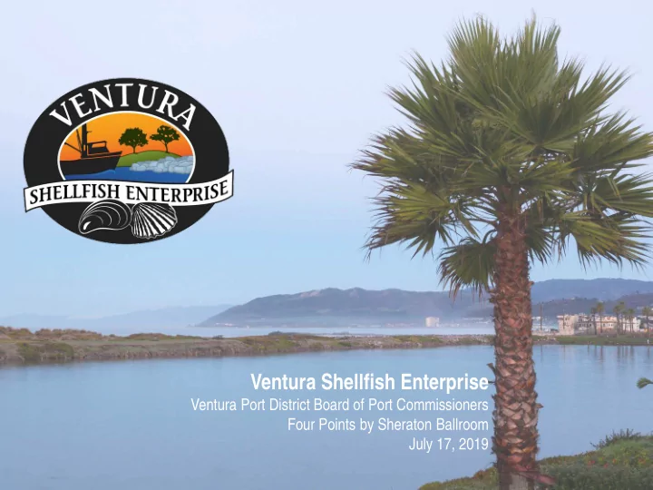 ventura shellfish enterprise