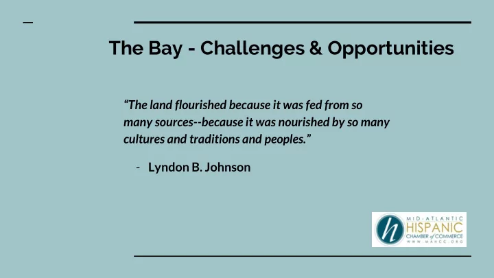 the bay challenges opportunities