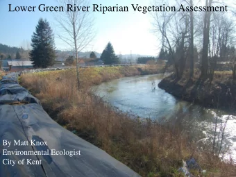 Lower Green River Riparian Vegetation Assessment  By Matt Knox  Environmental Ecologist  City of