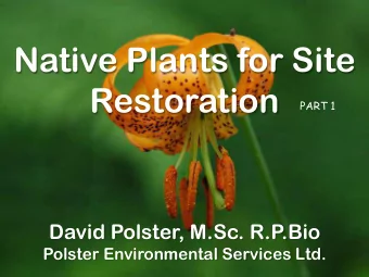 Native Plants for Site  Restoration  PART 1  David Polster, M.Sc. R.P.Bio  Polster Environmental