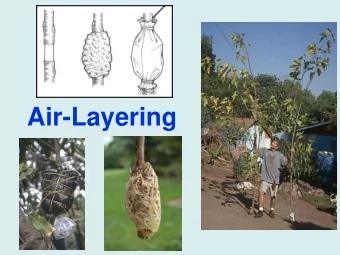 Air-Layering  Tools &amp; Supplies    1.  Hand pruners    2.  Girdling scissors (optional)