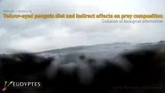 Yellow-eyed penguin / hoiho  Megadyptes antipodes  Distribution  Distribution  Almost all species