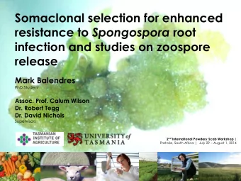 Somaclonal selection for enhanced resistance to Spongospora root  infection and studies on zoospore
