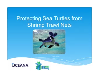 Protecting Sea Turtles from  Shrimp Trawl Nets  Credit:  NOAA    Whats the Problem?  Not