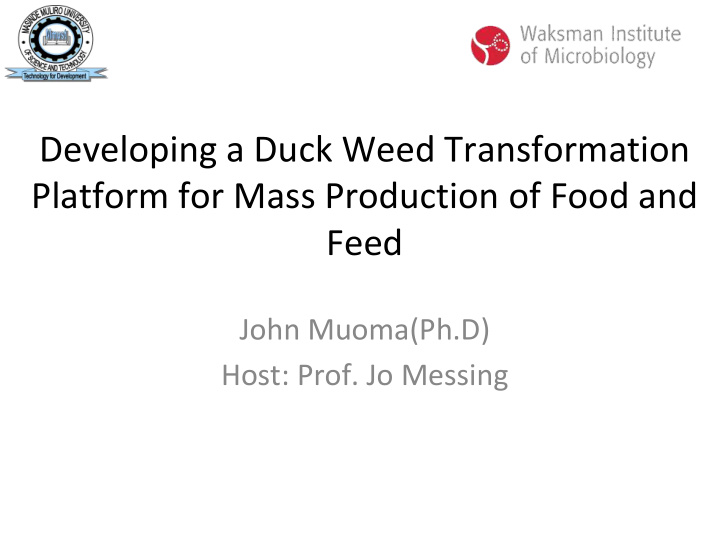 developing a duck weed transformation platform for mass