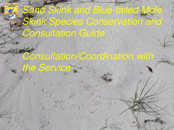 consultation coordination with the service legislation