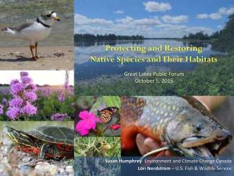 Protecting and Restoring  Native Species and Their Habitats  Great Lakes Public Forum October 5,
