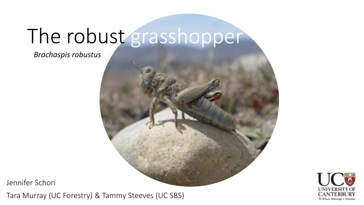 the robust grasshopper