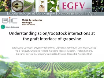 the graft interface of grapevine  Sarah Jane Cookson, Duyen Prodhomme, Clment Chambaud, Cyril