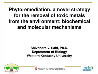 Phytoremediation, a novel strategy  for the removal of toxic metals  from the environment:
