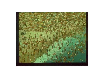 Rachel Carson Conference  Symposium on  Pesticide Dependency  WORLD POPULATION  7 Billion people