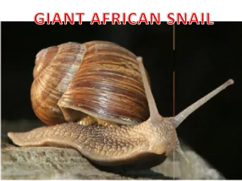 POSITIVE  POINTS  FOR  SNAIL   FARMING. 1. Snail Farming in Nigeria is relatively new. This