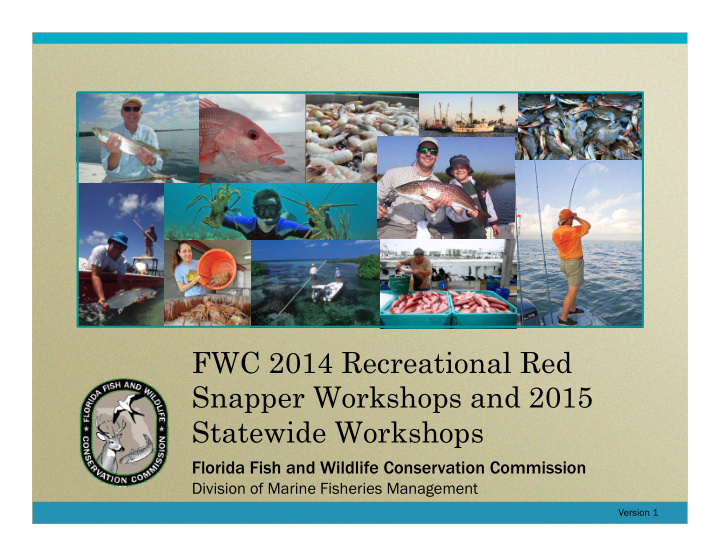 fwc 2014 recreational red snapper workshops and 2015