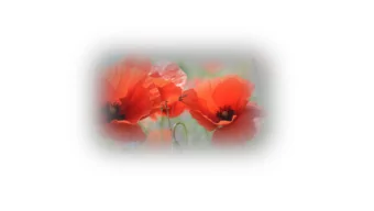 2018  Fo  For the Fal  r the Fallen  len  BY  LAURENCE BINYON  The Bognor and District  War