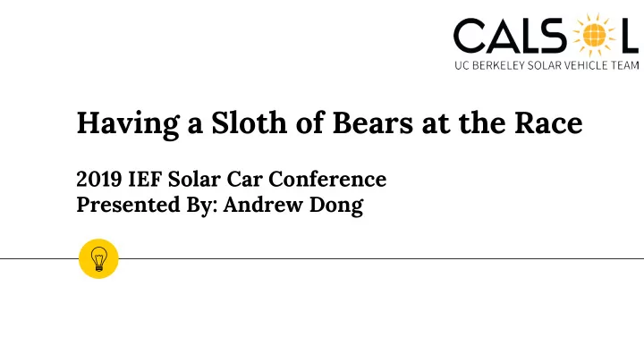 having a sloth of bears at the race