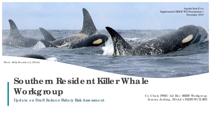 souther n r esident killer whale wor kgr oup