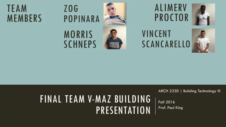 alimerv team