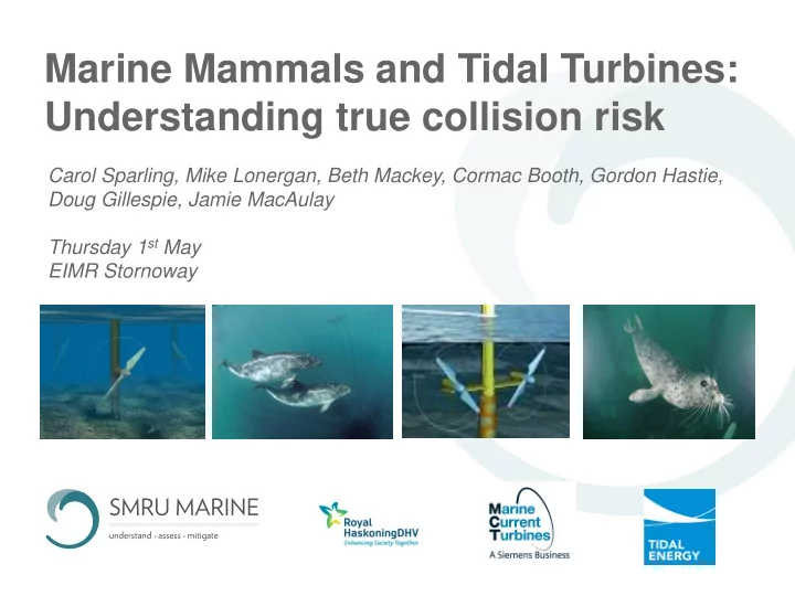 marine mammals and tidal turbines understanding true