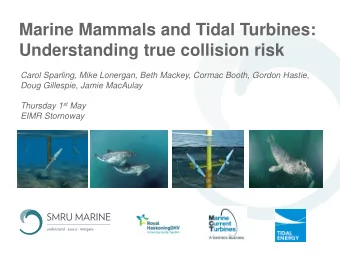 Marine Mammals and Tidal Turbines:  Understanding true collision risk  Carol Sparling, Mike