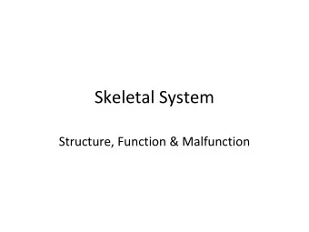 Skeletal System  Structure, Function &amp; Malfunction Functions of the  Skeletal System  1.